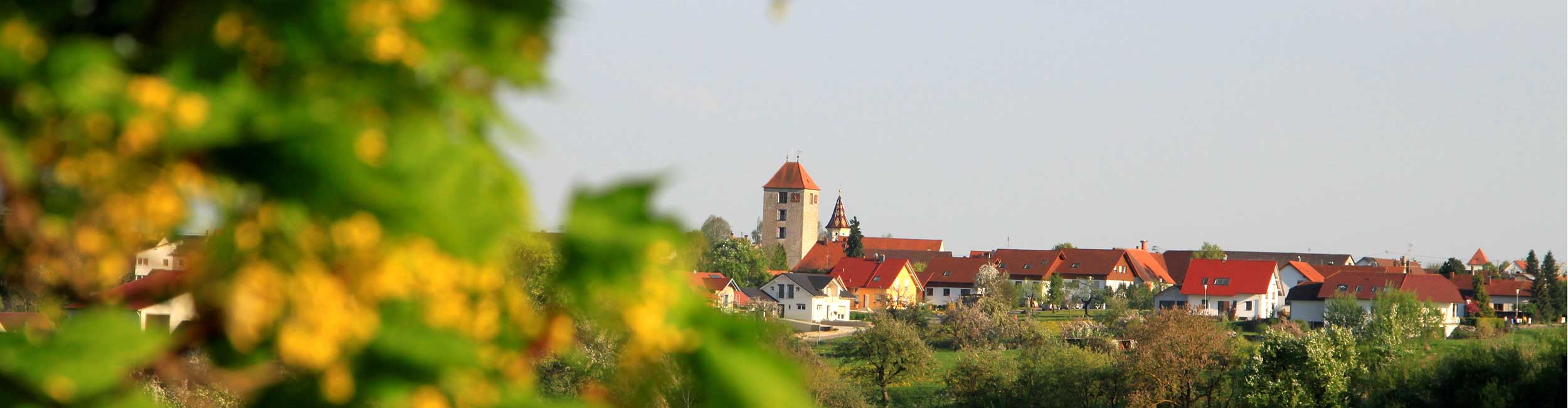 Ansicht auf Emerkingen von Norden